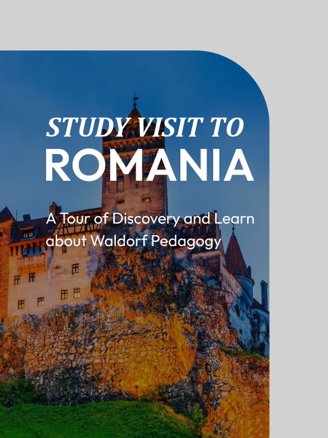 Image hover effect image